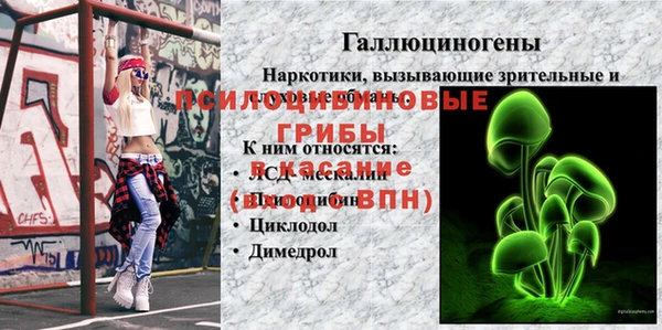 бутират Алексин